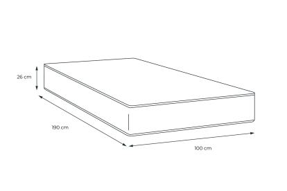 Matelas 100x190 cm Ressorts ensachés et Mémoire de forme - Windsor