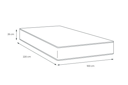 Matelas 100x220 cm Ressorts ensachés et Mémoire de forme - Windsor